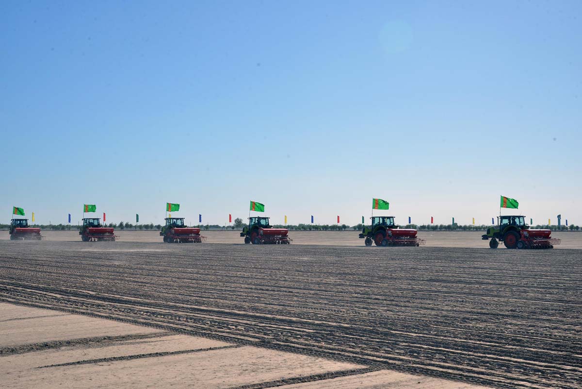 Winter wheat sowing has begun in Turkmenistan
